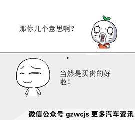 啪啪在线观看免费观看,揭秘“啪啪在线”观看秘籍  第2张