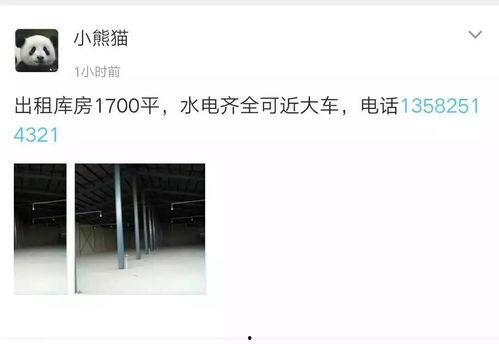 房地产最新消息爆料视频,热点爆料视频深度解析  第2张