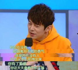 何炅爆料维嘉恋爱视频,揭秘明星私生活幕后真相  第2张