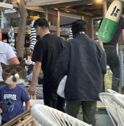 知情人士爆料陆文臣视频,知情人士揭秘背后惊人真相  第1张