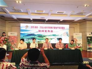 五指山新闻爆料电话,揭秘热线背后的故事与爆料瞬间  第3张