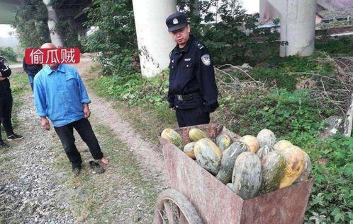 沛县吃瓜最新事件爆料,揭秘背后真相与争议  第3张