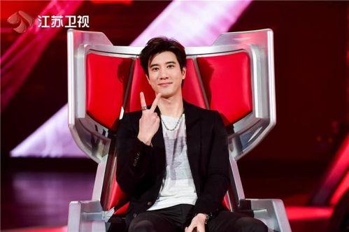 静蕾爆料王力宏视频,揭秘娱乐圈不为人知的真相  第3张