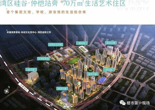 惠州楼盘爆料事件最新消息,真相大白，购房者权益如何保障？