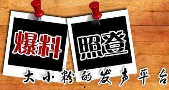 重庆徐帅哥最新爆料,重庆风云再起，揭秘幕后真相