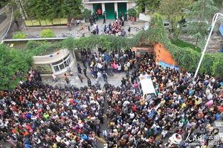 云南小学爆料事件最新消息,真相揭开，家长震惊不已  第3张