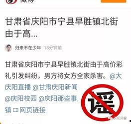 高价彩礼爆料案例大全最新,案例大全深度剖析  第3张