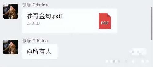 爆料海参被打视频播放网站,网络暴力引发社会关注  第2张