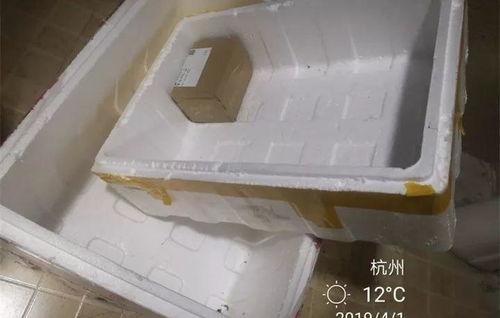 泡沫箱子爆料怎么做视频,轻松制作视频的实用指南  第3张