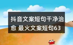 舌尖爆料视频文案短句大全,揭秘美食背后的文化故事
