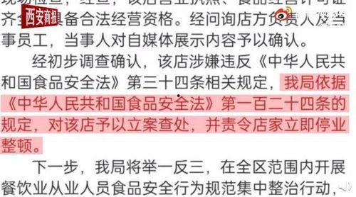 舌尖爆料视频文案短句大全,揭秘美食背后的文化故事  第2张