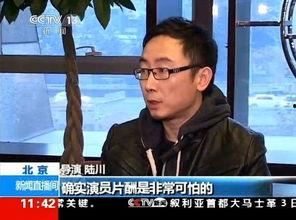 央视导演爆料新闻,揭秘新闻背后的真相