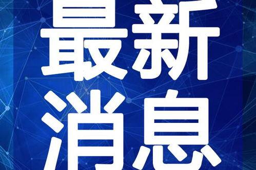 深圳最新李先生爆料视频,揭秘事件背后惊人真相  第2张
