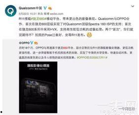 内鬼爆料博士视频全集,博士视频全集深度解析