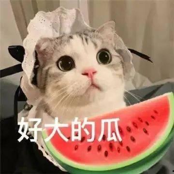 网红的吃瓜生活,揭秘娱乐圈幕后风云  第2张