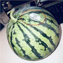 网红的吃瓜生活,揭秘娱乐圈幕后风云  第3张