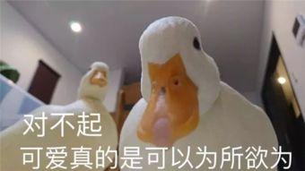 大白最新爆料,娱乐圈最新爆料大起底！  第3张