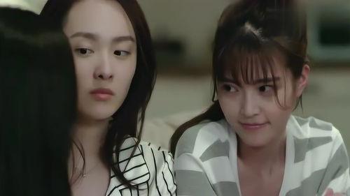 借宿公寓在线观看,揭秘都市异乡人的温馨避风港  第2张