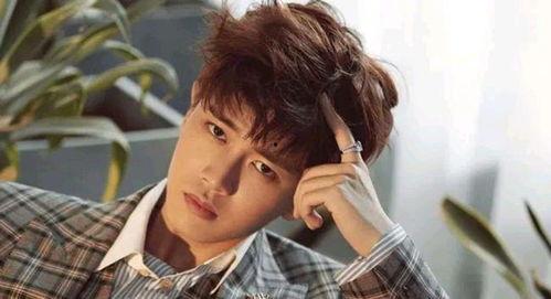 任嘉伦近期八卦爆料视频,揭秘明星背后的故事