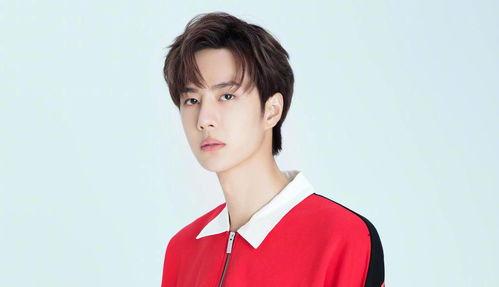 任嘉伦近期八卦爆料视频,揭秘明星背后的故事 第3张 任嘉伦近期八卦爆料视频,揭秘明星背后的故事 第3张