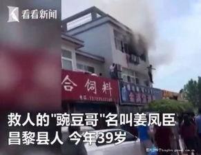 国内新闻爆料视频,真实事件背后的真相  第3张