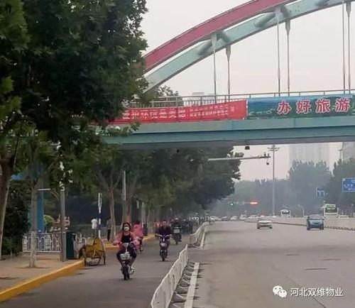 保定唐县爆料事件真相最新,真相与真相背后的真相