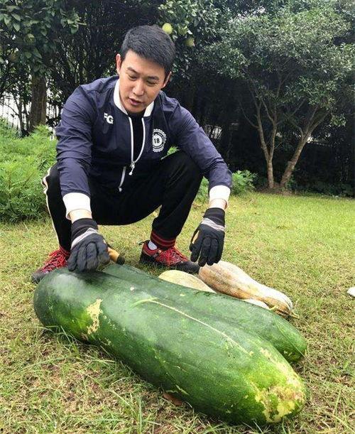 金乡最新大瓜爆料信息,最新大瓜爆料揭秘惊人内幕