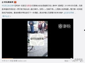 石家庄无极爆料事件最新,揭秘石家庄最新社会热点背后的真相