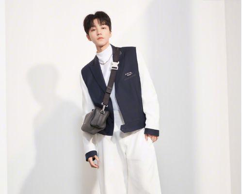 女子爆料王俊凯视频大全,真相揭秘