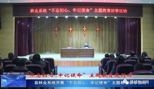 南平蒲城新闻爆料,揭秘当地最新事件背后的真相  第2张