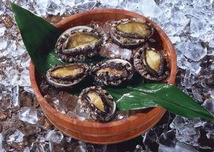 鲍鱼最新爆料图片高清,高清视角下的奢华美食魅力 第2张 鲍鱼最新爆料图片高清,高清视角下的奢华美食魅力 第2张