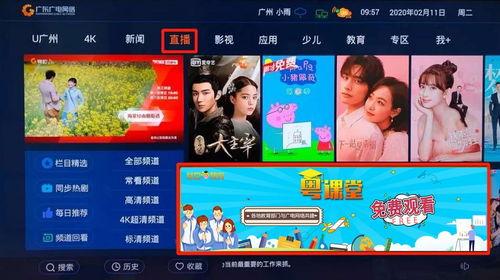狼族直播爆料视频大全集,揭秘视频大全集精彩瞬间