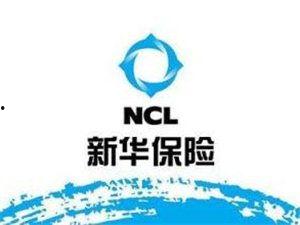 爆料新华保险视频下载,揭秘公司内部操作与业务动态  第2张