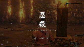 鬼之花宴 在线 观看,在线惊悚盛宴，揭秘幽冥秘境