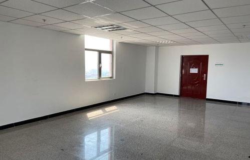 鹅家老利前妻爆料视频,揭秘婚姻内幕与心酸历程  第2张