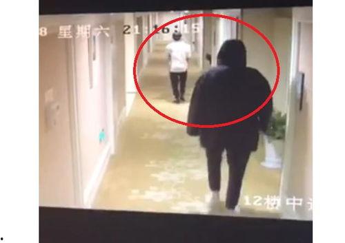 神秘最新爆料视频在线观看,揭秘背后惊人真相！  第2张