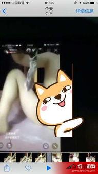 主播门视频在线观看,热门视频在线观看背后的故事  第2张