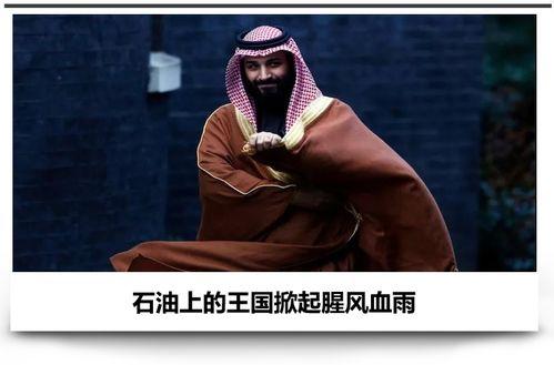 爆料沙特王室病毒视频,神秘病毒真相揭秘