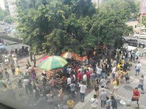 爆料游泳溺亡视频最新消息,最新视频揭露惊人真相