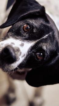 凶恶 手机在线观看,手机在线惊悚揭秘  第2张