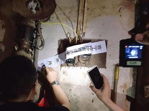 屠宰最新爆料消息,揭秘屠宰行业惊人内幕