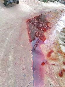 屠宰最新爆料消息,揭秘屠宰行业惊人内幕  第2张