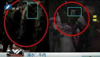 屠宰最新爆料消息,揭秘屠宰行业惊人内幕  第3张