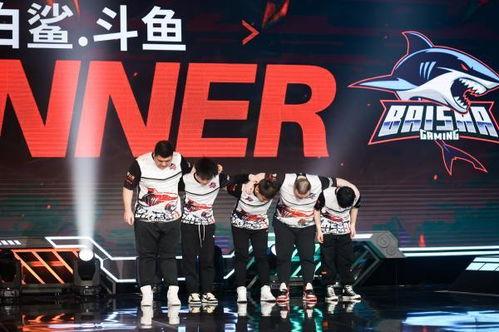 白鲨爆料绝技视频,惊心动魄的海洋猎杀瞬间  第2张