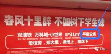 郑州网友最新爆料,揭秘某神秘事件真相！  第2张