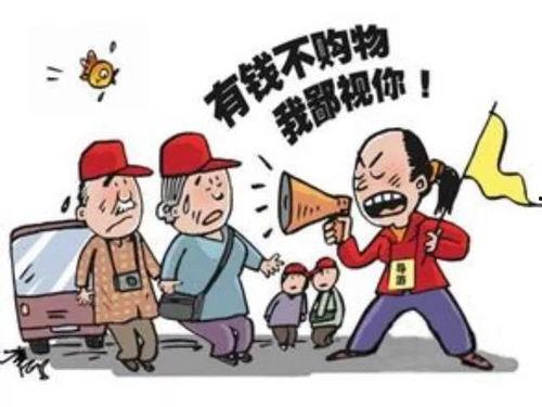 网友爆料云南导游人员视频,揭秘导游行业乱象  第3张