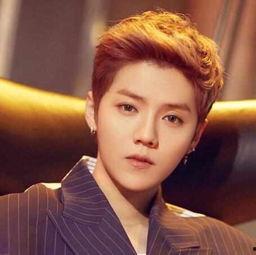 陈赫鹿晗爆料事件最新消息,真相大白,疑云散去 第2张 陈赫鹿晗爆料事件最新消息,真相大白,疑云散去 第2张