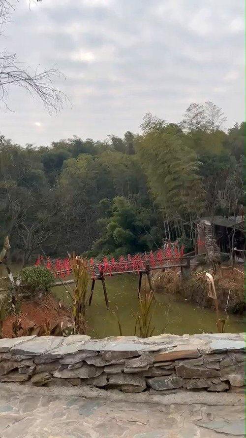 花溪新闻爆料最新视频,视频揭露惊人真相 第2张 花溪新闻爆料最新视频,视频揭露惊人真相 第2张