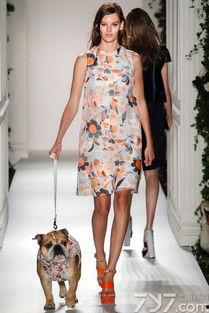 可莉时装爆料视频大全集,时尚潮流尽收眼底 第3张 可莉时装爆料视频大全集,时尚潮流尽收眼底 第3张