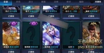 皮肤优化最新爆料王者